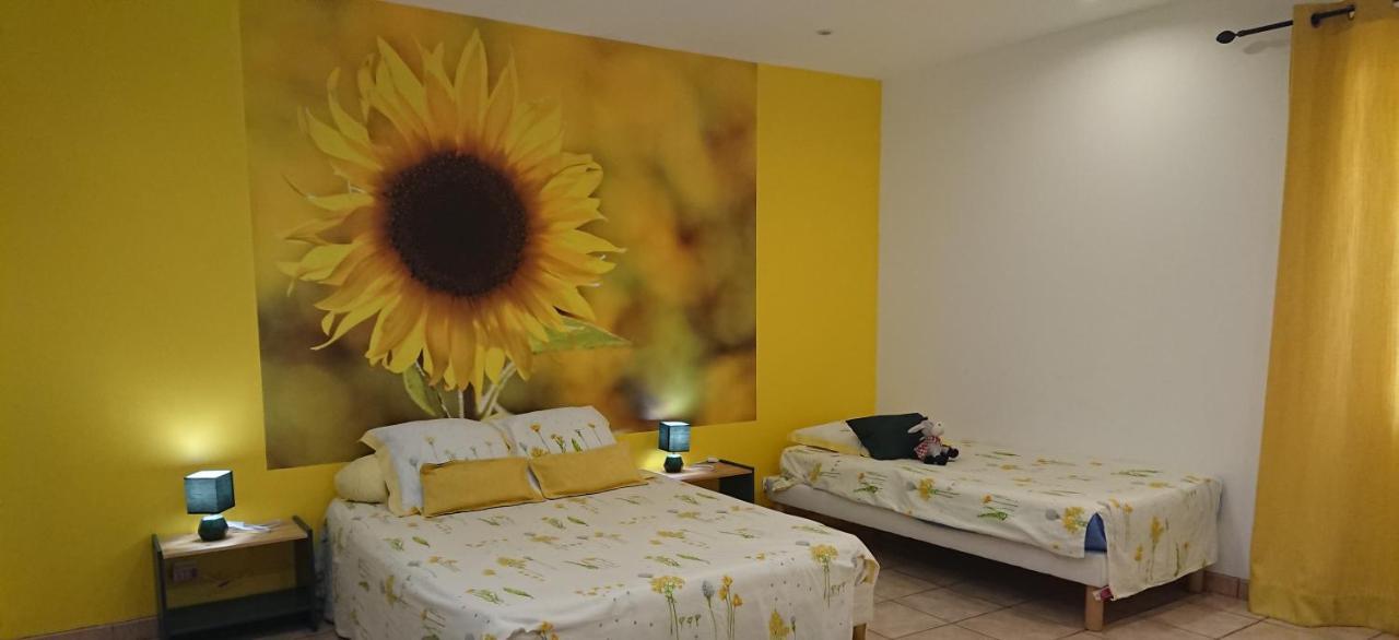 Chambres D'Hotes- Le Pre Aux Anes Albon Экстерьер фото