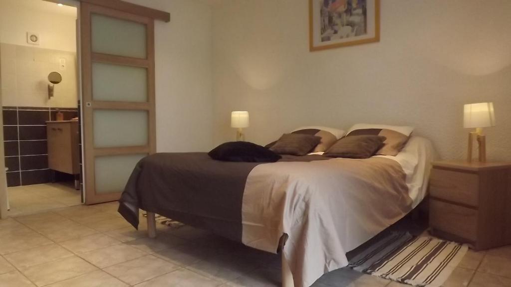 Chambres D'Hotes- Le Pre Aux Anes Albon Номер фото